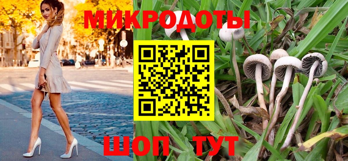 Галлюциногенные грибы Psilocybine cubensis Топки